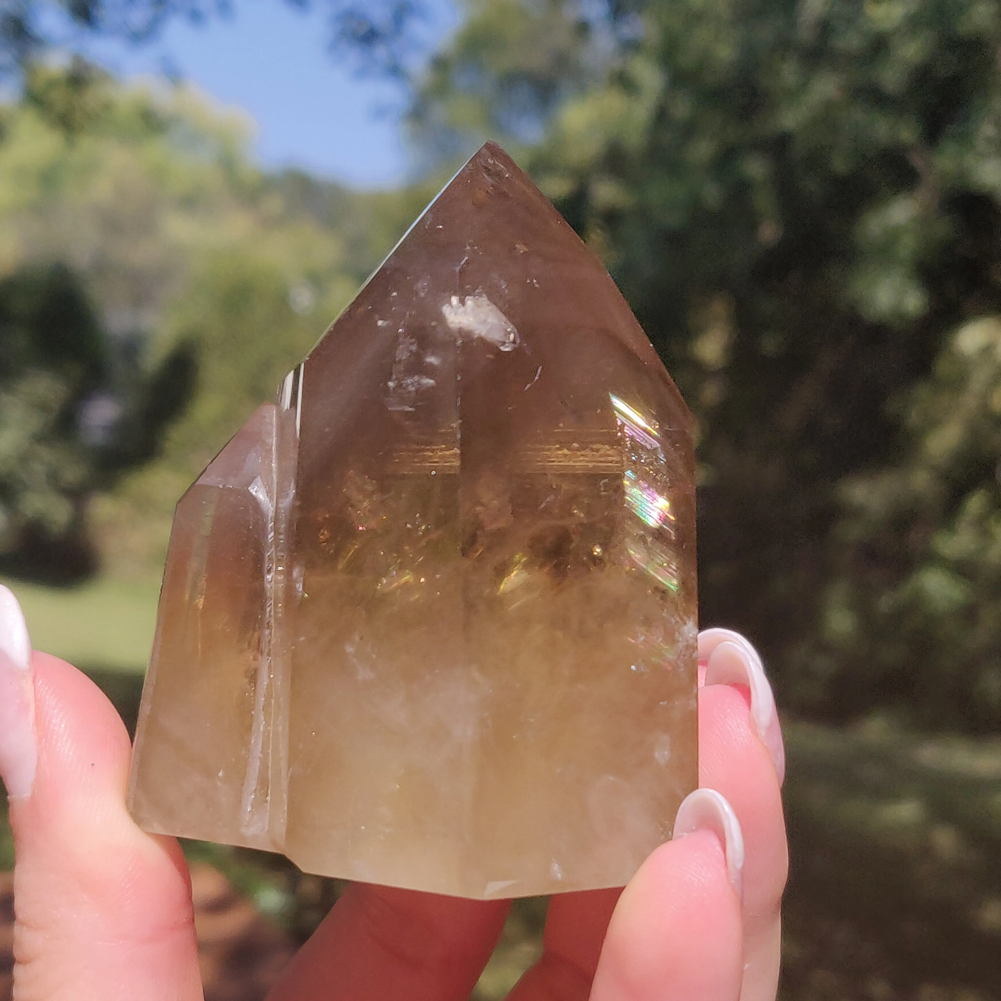 Citrine Cluster Points with Rainbow Inclusons (#12E)