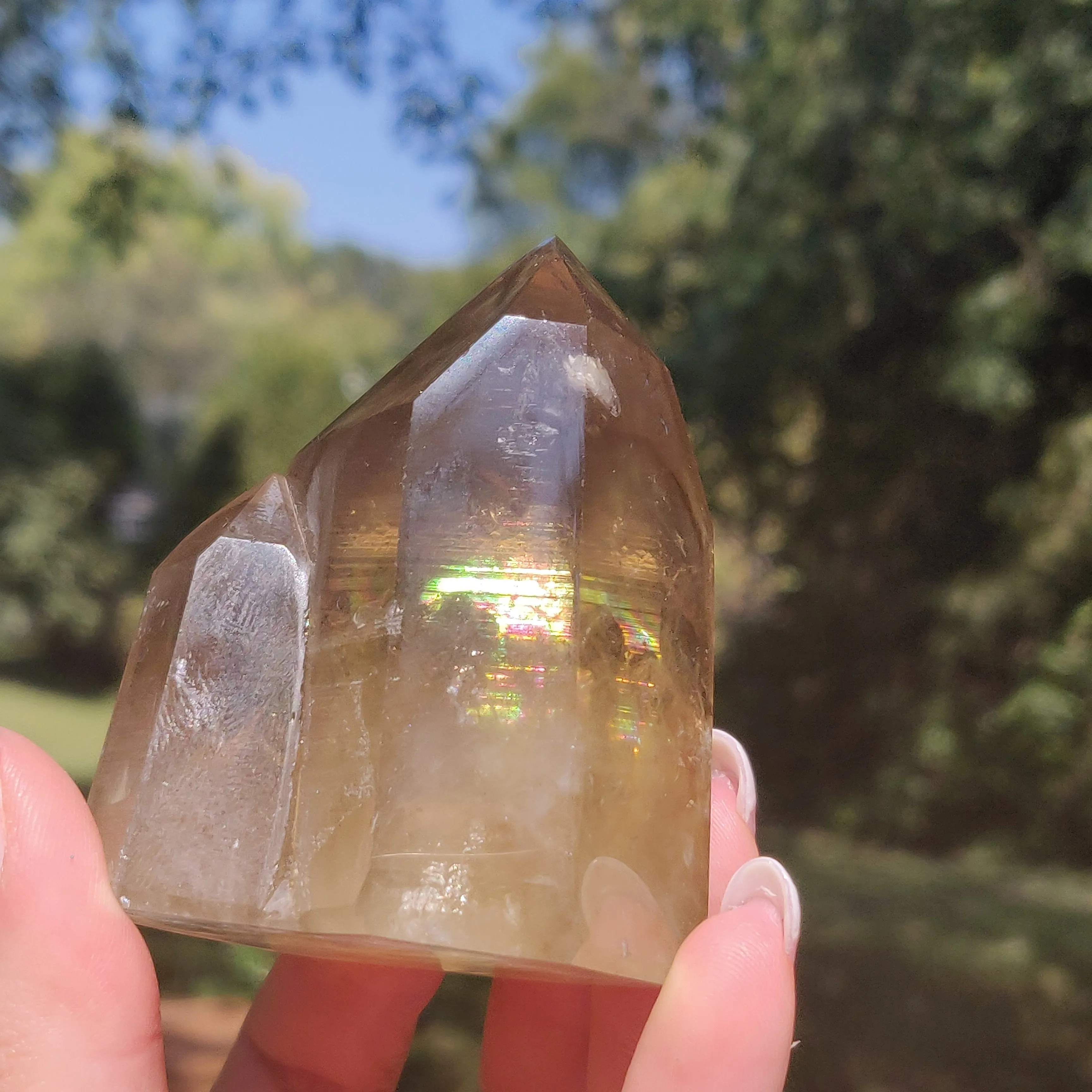 Citrine Cluster Points with Rainbow Inclusons (#12E)