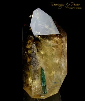 Citrine Quartz Point with Green Tourmaline Inclusions 'Abundance Stone'