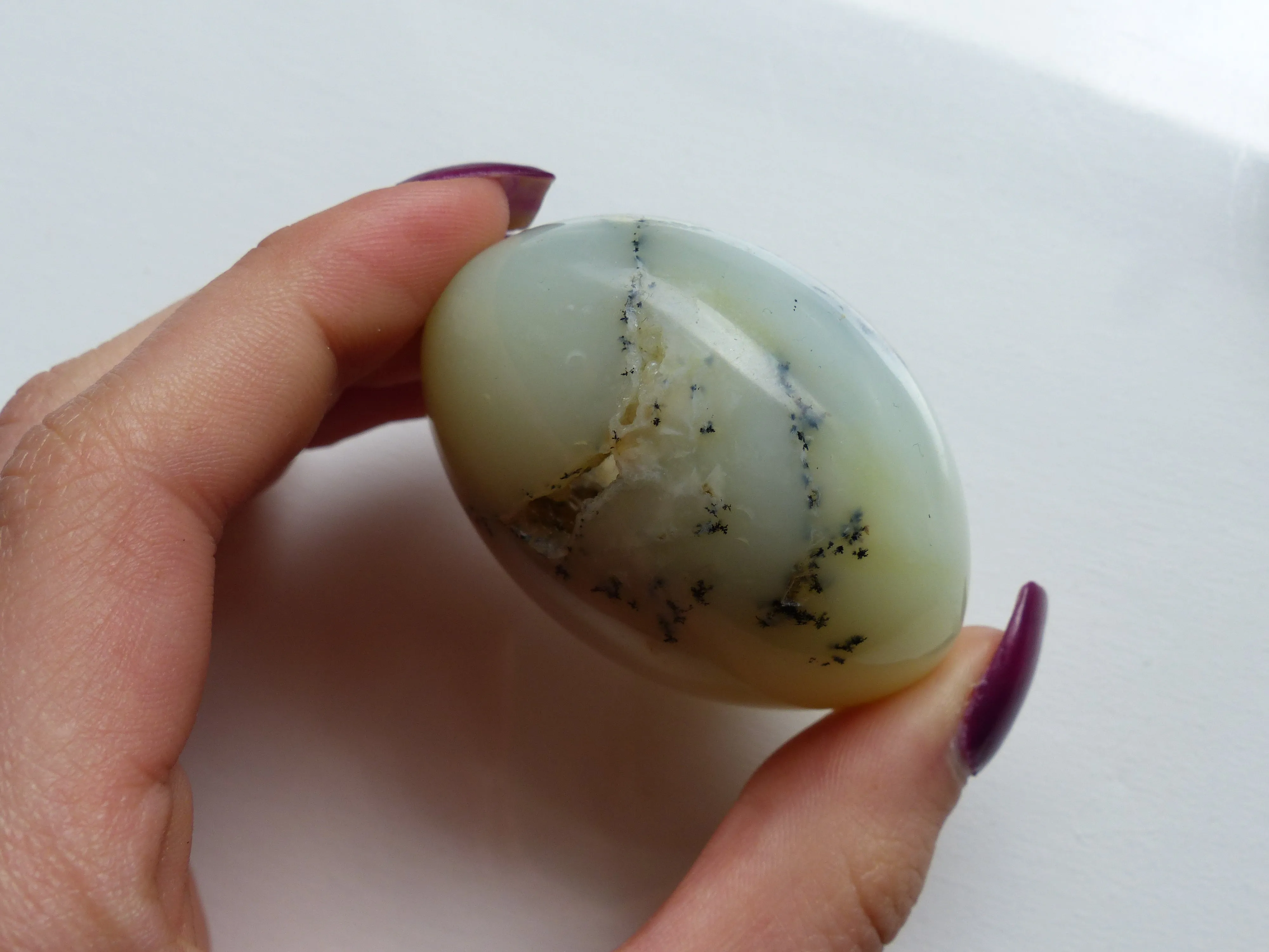 Dendritic Opal Palm Stone (#10)
