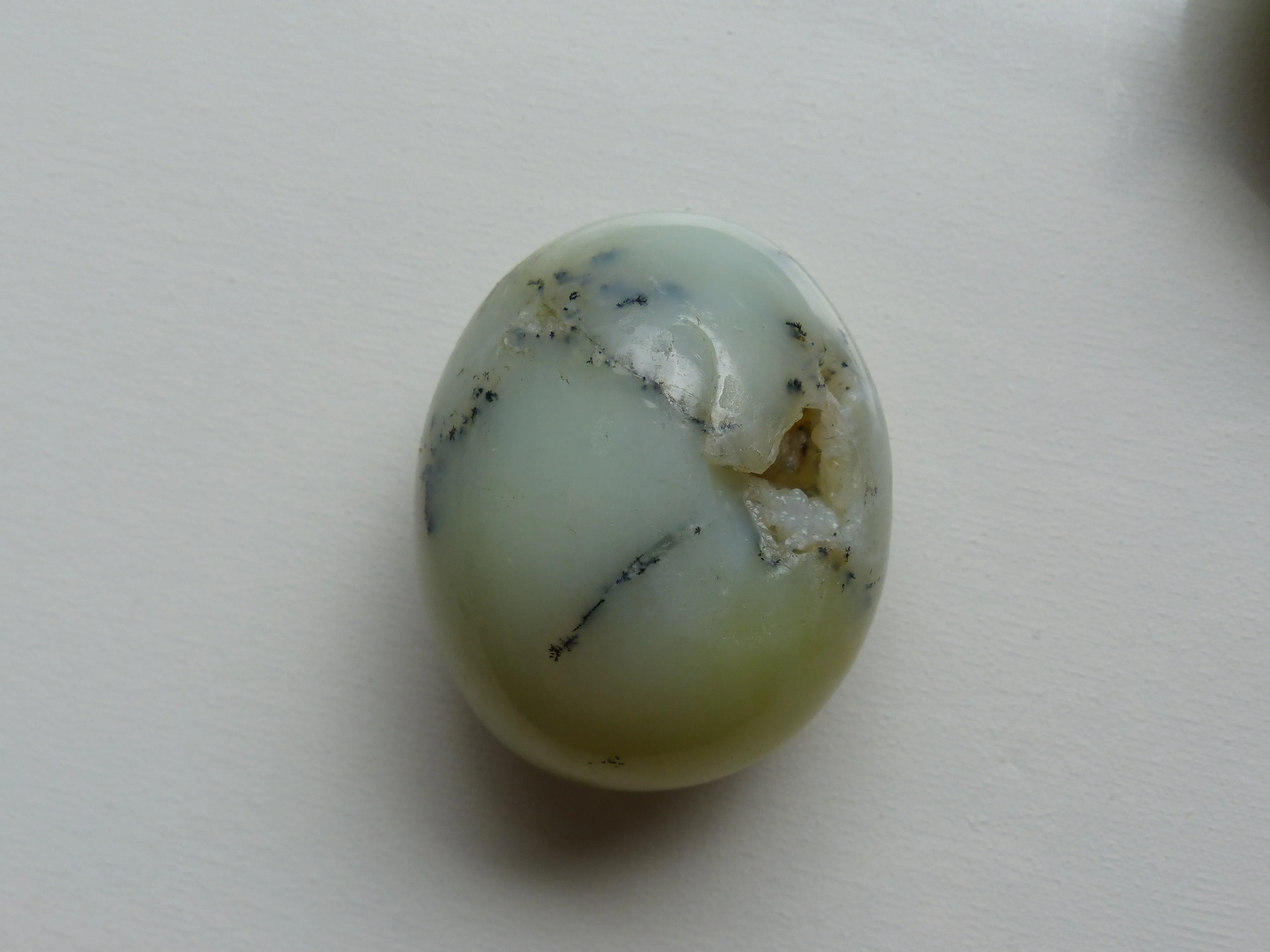 Dendritic Opal Palm Stone (#10)