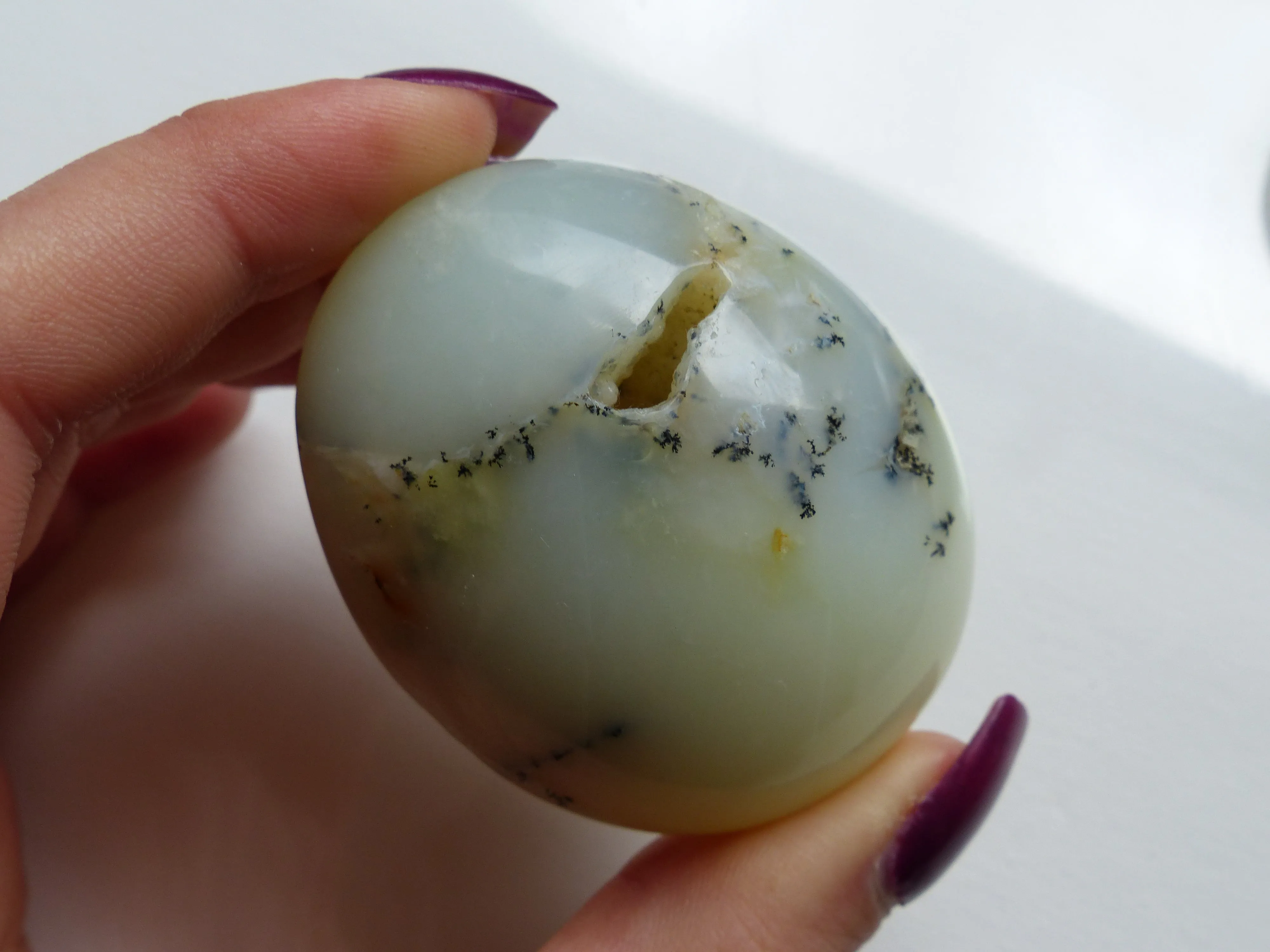 Dendritic Opal Palm Stone (#10)