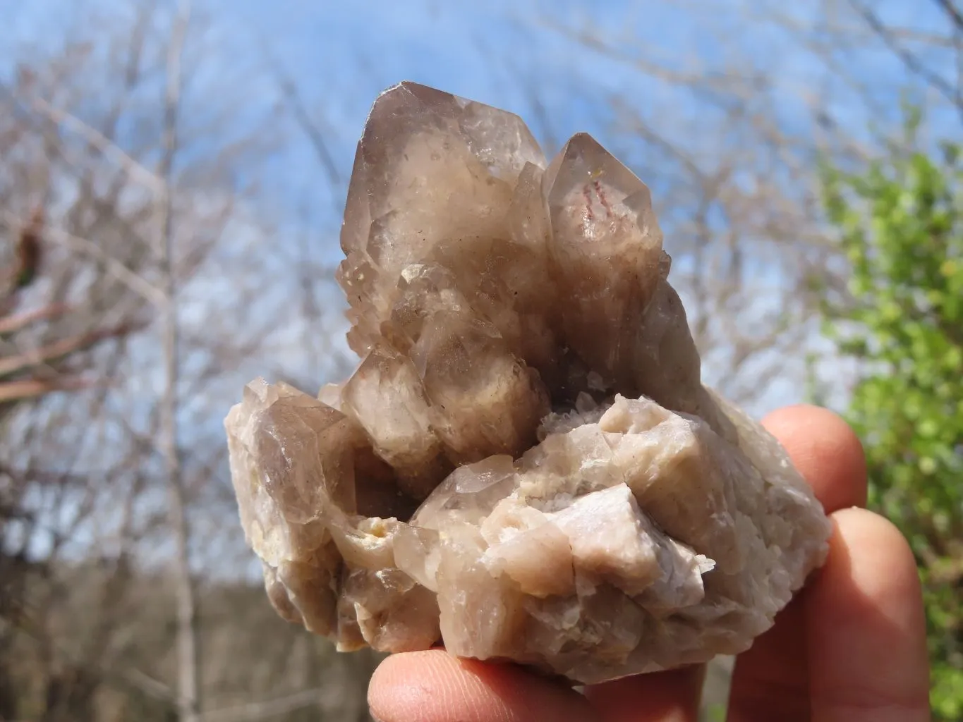 Natural Smokey Quartz Clusters x 6 From Congo