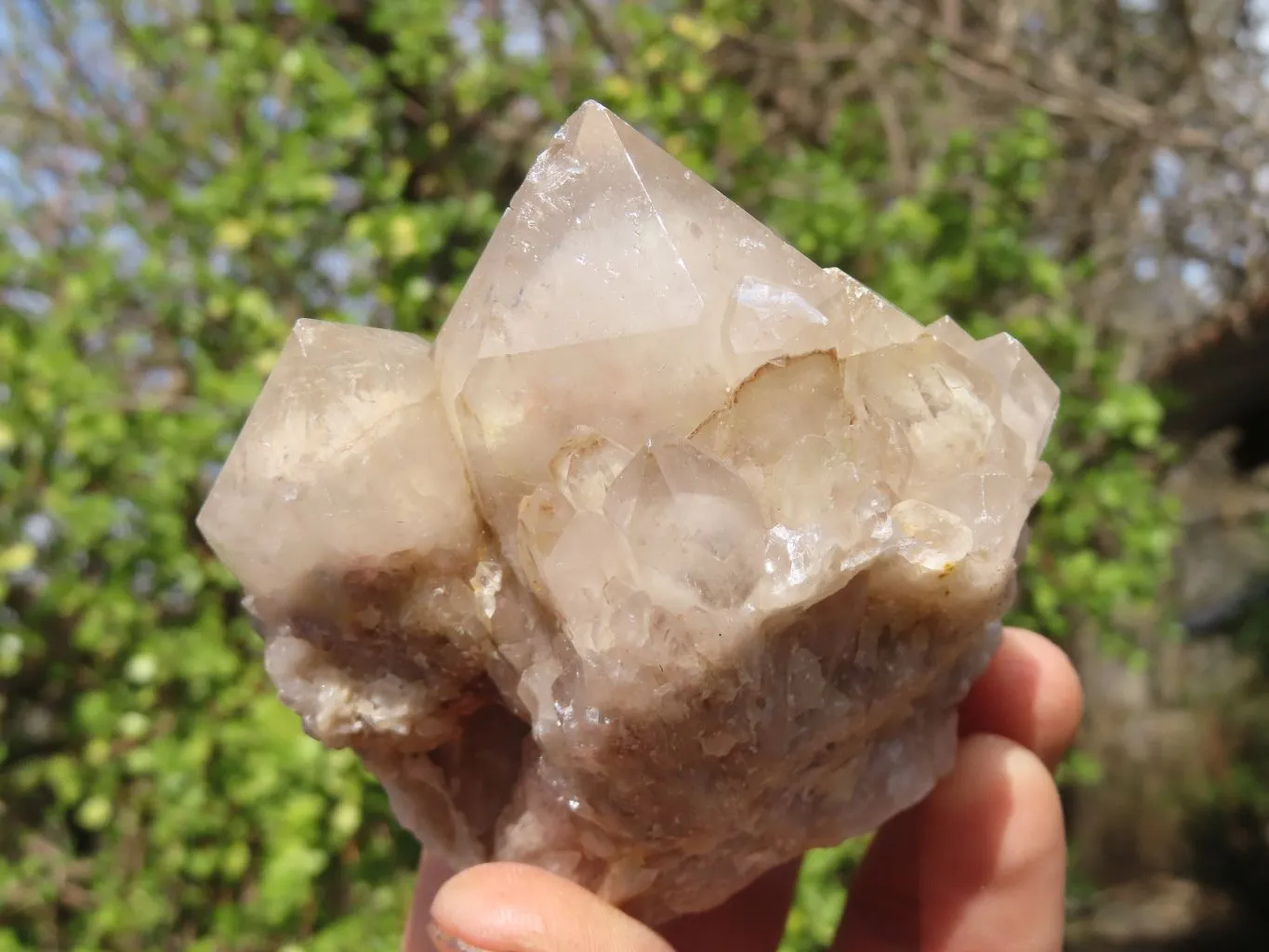Natural Smokey Quartz Clusters x 6 From Congo