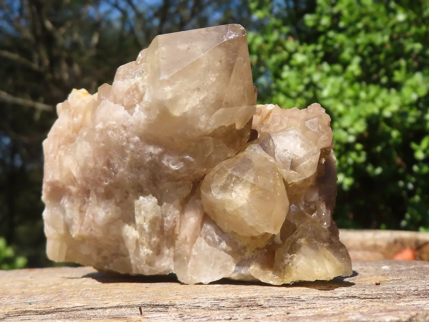 Natural White Phantom Cascading Smokey Quartz Clusters x 7 From Luena, Congo