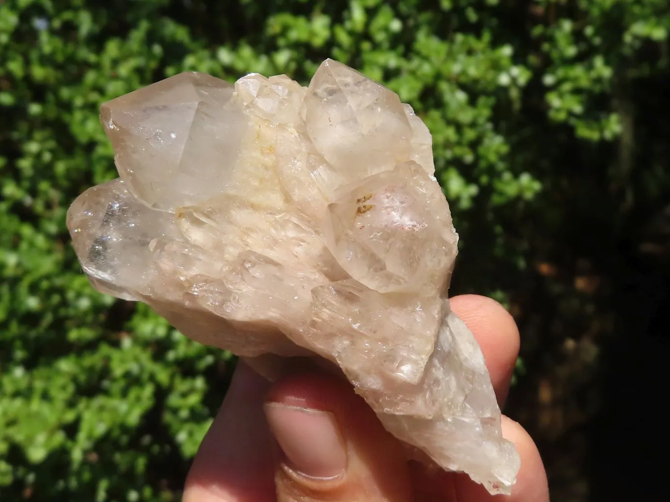 Natural White Phantom Cascading Smokey Quartz Clusters x 7 From Luena, Congo