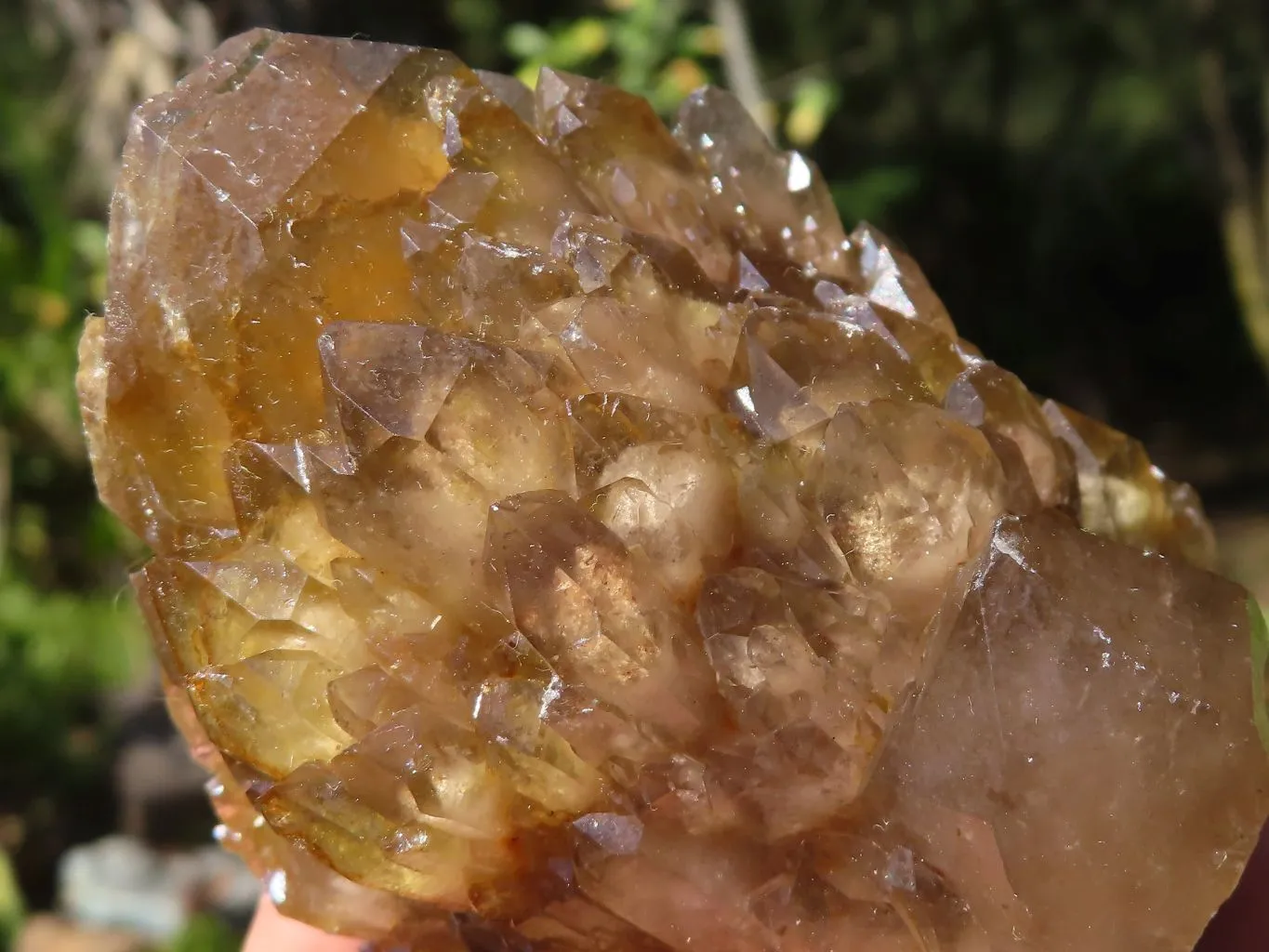 Natural White Phantom Cascading Smokey Quartz Clusters x 7 From Luena, Congo