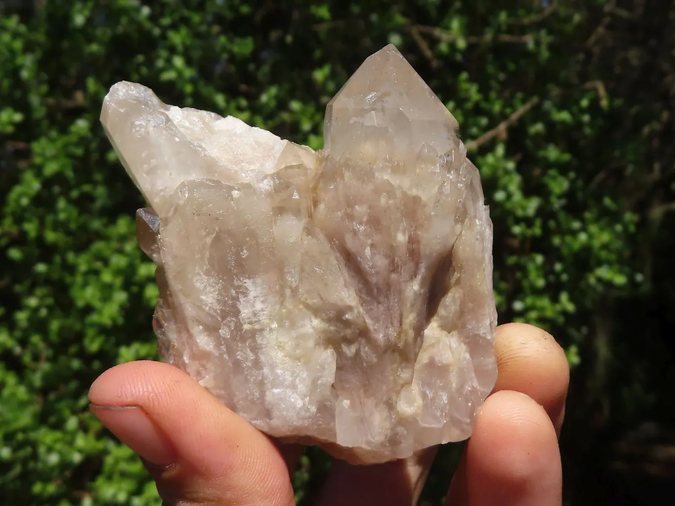 Natural White Phantom Cascading Smokey Quartz Clusters x 7 From Luena, Congo