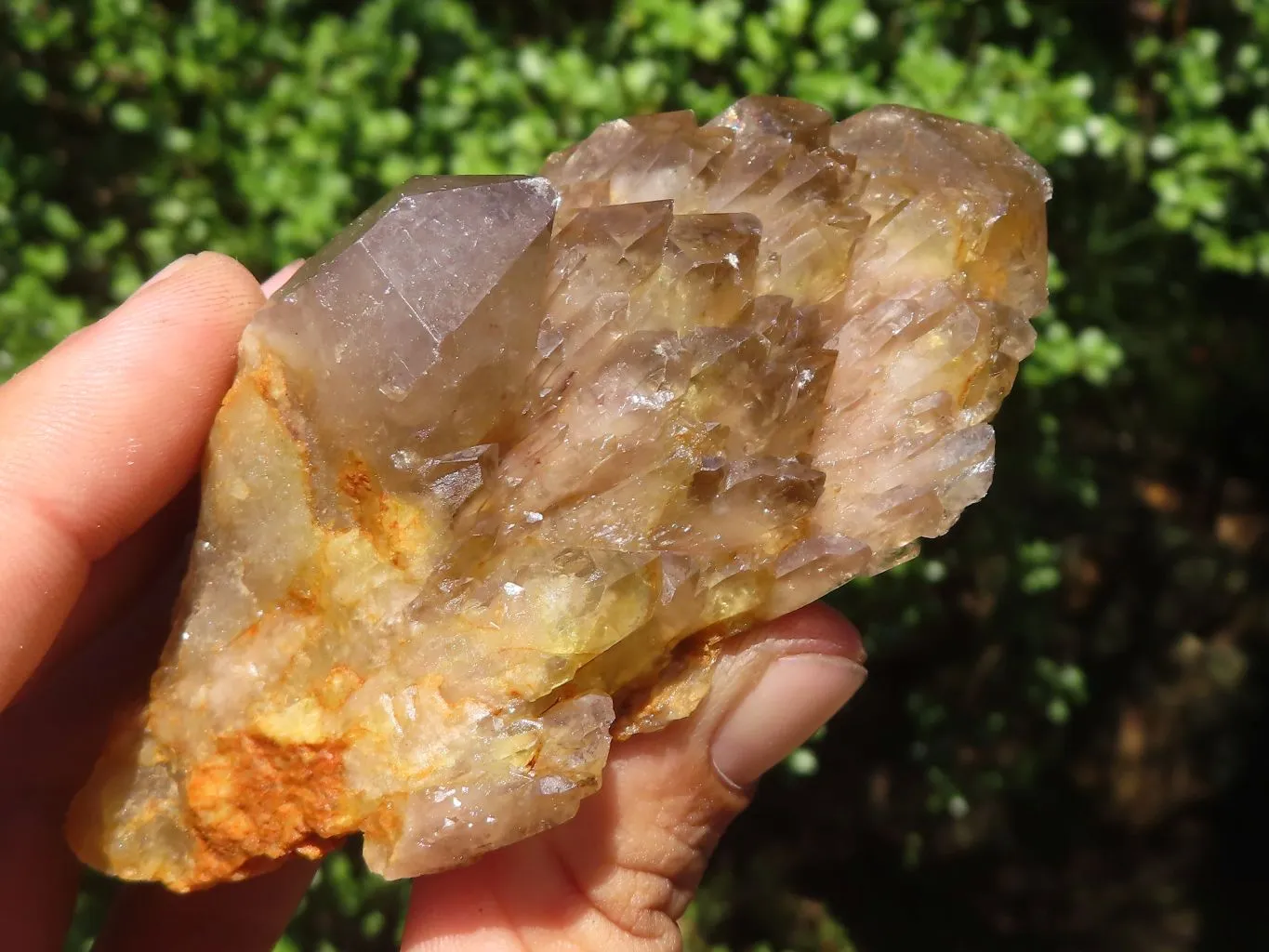 Natural White Phantom Cascading Smokey Quartz Clusters x 7 From Luena, Congo