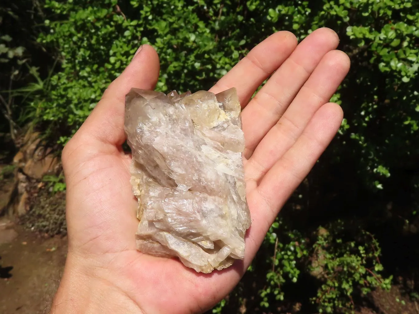 Natural White Phantom Cascading Smokey Quartz Clusters x 7 From Luena, Congo